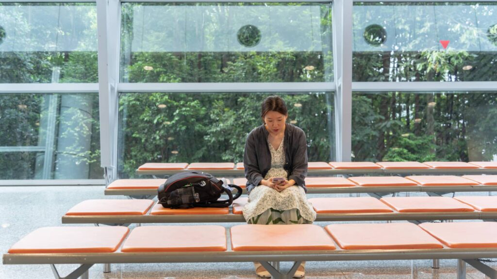 Asiater undgår ture til os i år af forskellige årsager